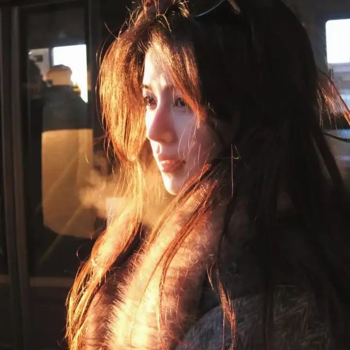 芝士伙伴